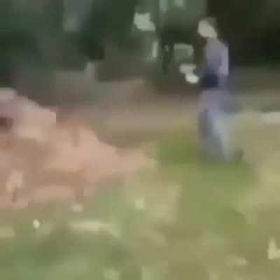 The mold is over 9000