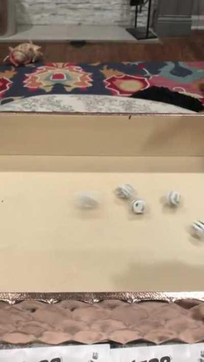 He didn't read the rules.