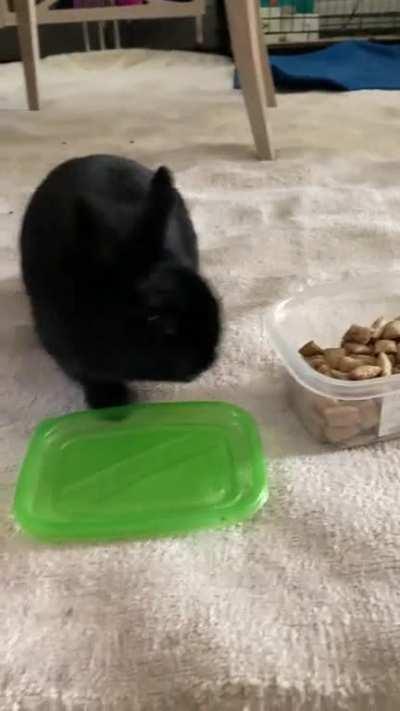 Luigi has decided to run for Mayor! Qualifications: can open treat box for bnnuys everywhere. Vote Mayor Weej!