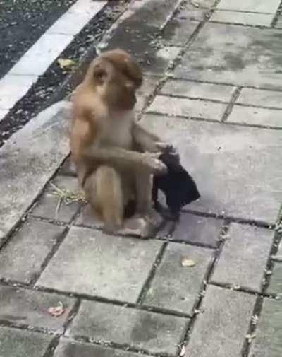 This guys smarter than the minority