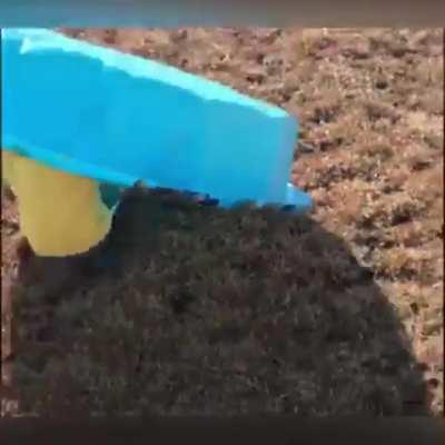 The evil pool monster claims the life of another innocent child