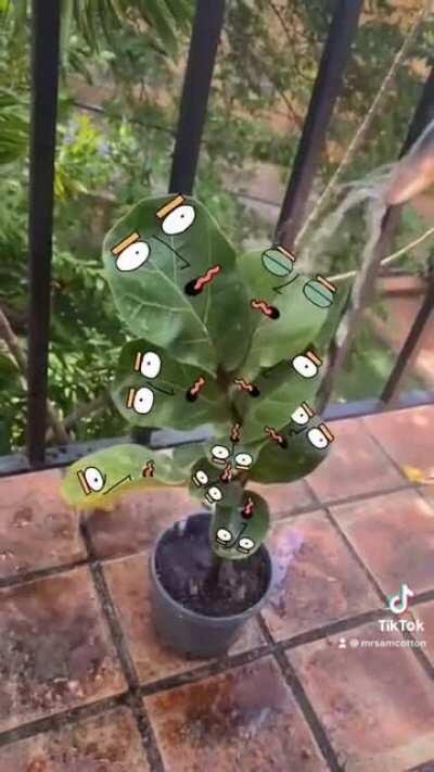 Thanks, I hate plants