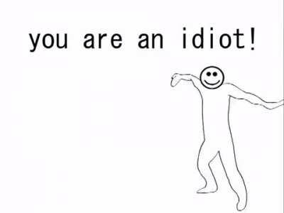 Remix of the You Are An Idiot virus song