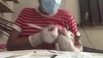 Surgery interrupted for a snack attack