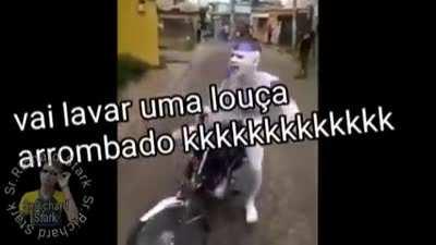 Famoso 3 capa deitei