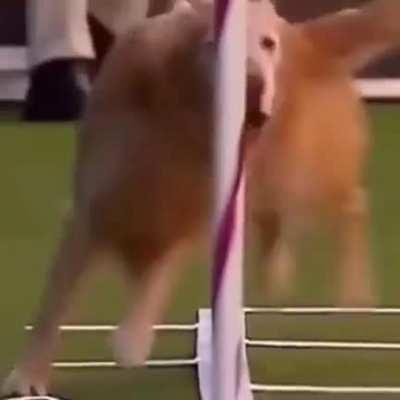 The last one is the fastest