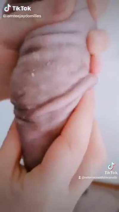 This is a bit more than 'mildly'.