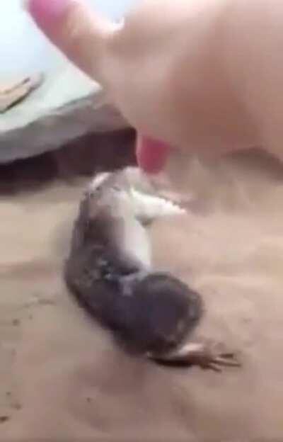 Wanna…do that thing?