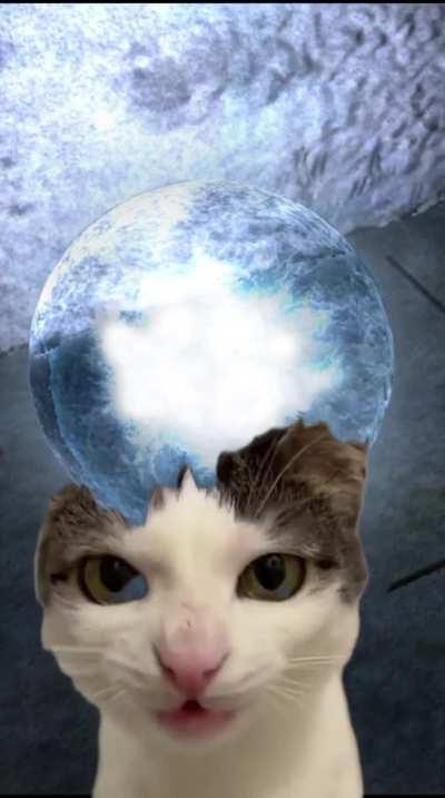 Zone's Forbidden Snacks 