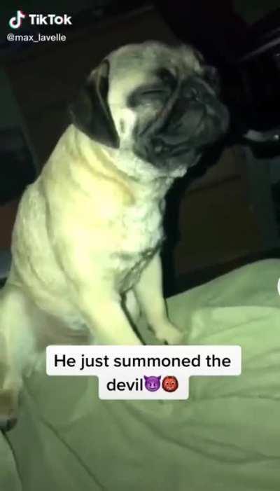 Thanks, I hate Demon dog