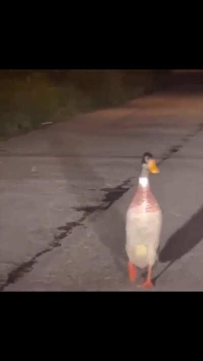 Poland explained in ~30 sek ( ͡° ͜ʖ ͡°)