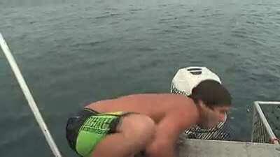 Be Free Little Fish! AHHHHHHHHHHHHHH