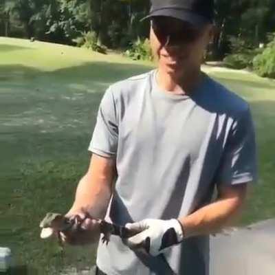 Esse sub anda muito parado, vou tentar postar pelo menos um bagui td dia, e incentivo os outros adm a fazer o msm