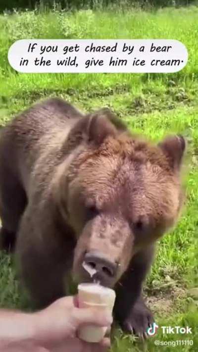 In Russia bear only want ice cream (credit to @song111110 on tiktok )