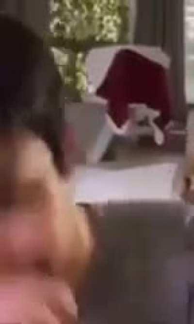 Sog beating vine boom