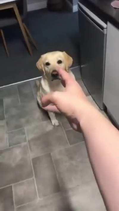 PoOr StAnD uSeR fOrCeD tO uSe HiS pOwEr To PuT dOwN hIs EnRaGeD dOg