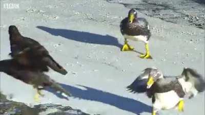 Made me happy ☺️ (sorry if it's already been posted here )