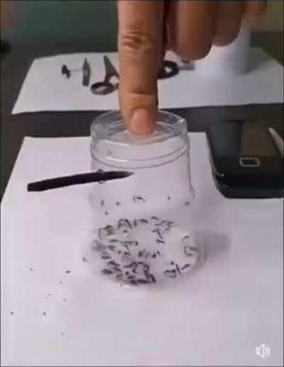 1000 ways of killing mosquitoes