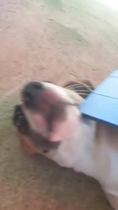 I don't know what falir I should use in this one.