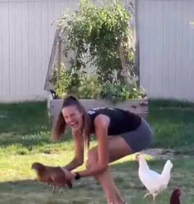 to pick up a chicken quietly