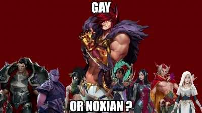 Is Sett gay or Noxian ?
