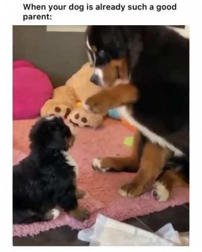 Having a gentle touch