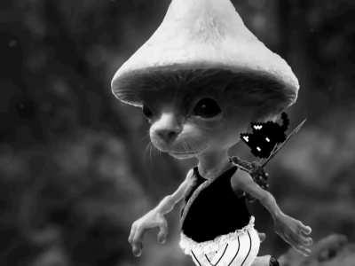 WE LIVE WE LOVE WE LIE