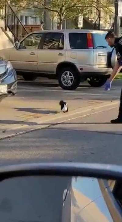 [Canada] Other duties include...