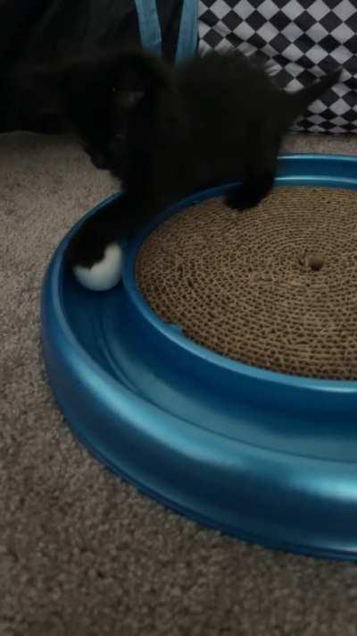 “The toy” has been discovered. Wait for the back flip 😅