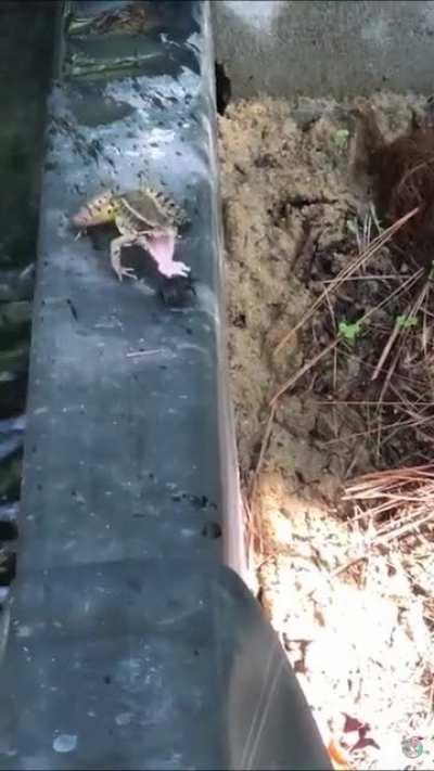 Understandable, have a nice day