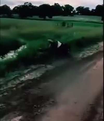 That’s Going To Leave A Mark…