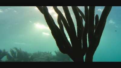 Sunset below the waves at Mia Reef of Isla Mujeres, Mexico