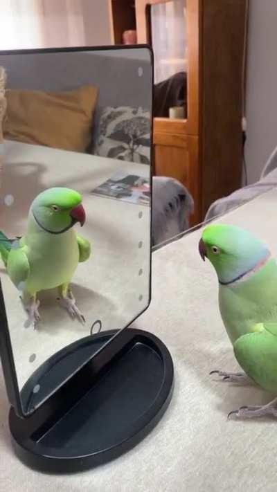 Who's that handsome guy?