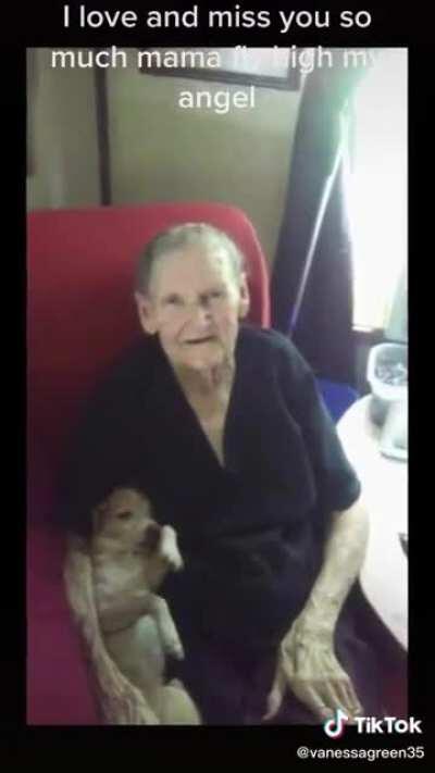 Grandma's death was not in vain, you got 500 likes for it