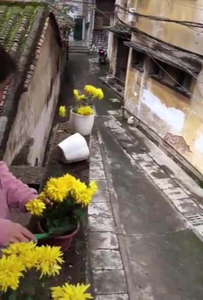 I do this everyday smh