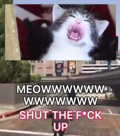 Meoowww