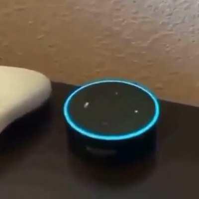 Why won’t she stop 😩