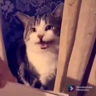 Что здесь написано?