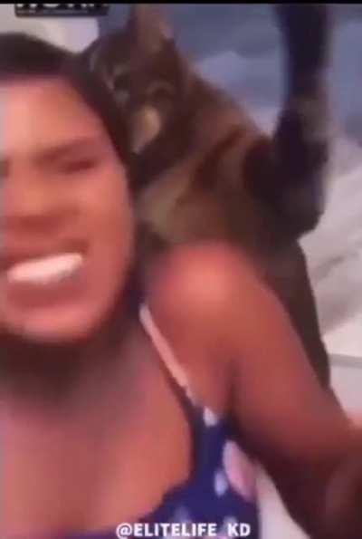 Cat went for the ultra slap.