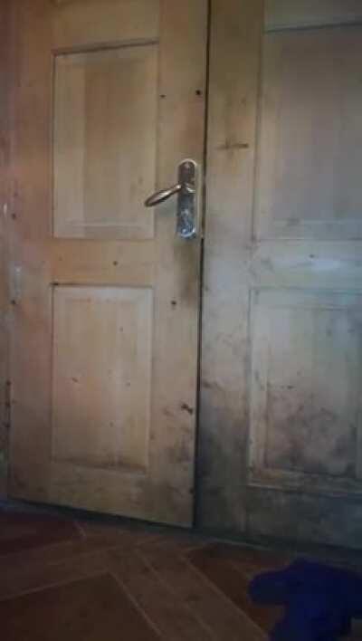 “Oh, hello. You got any food?”