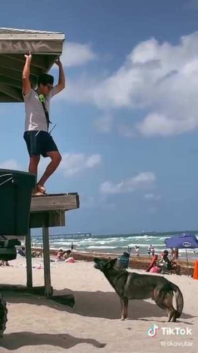 Just a dog asking the lifeguard to throw his ball
