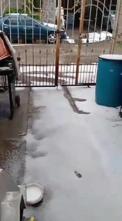 Así quedó El Dorado