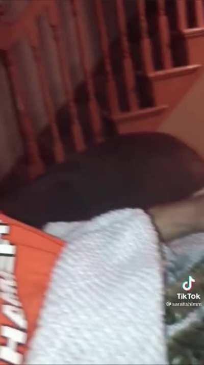 Cat has malfunctioned...