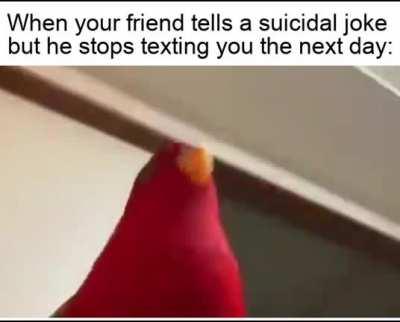 Just curious about how it will stab.