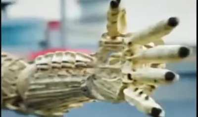 This weird ai video that i found on tiktok.