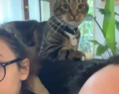 When you're being a jerk but suddenly realize that you're being filmed