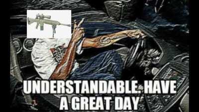 Who Would Win: Chad Heavy Armour or Virgin M110 SASS?