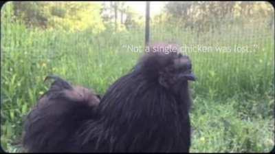 I would have followed you