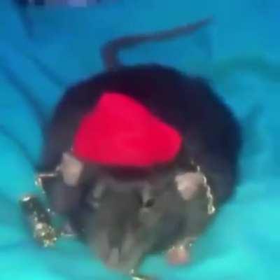 I’m 15 and this is yeet