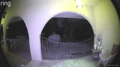 I saw this shadow run away from my front door on my ring camera. Was it a ghost?